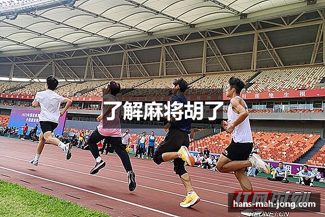 了解麻将胡了